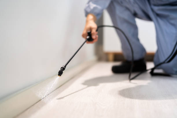Certified termite inspector examining foundation in Kittanning