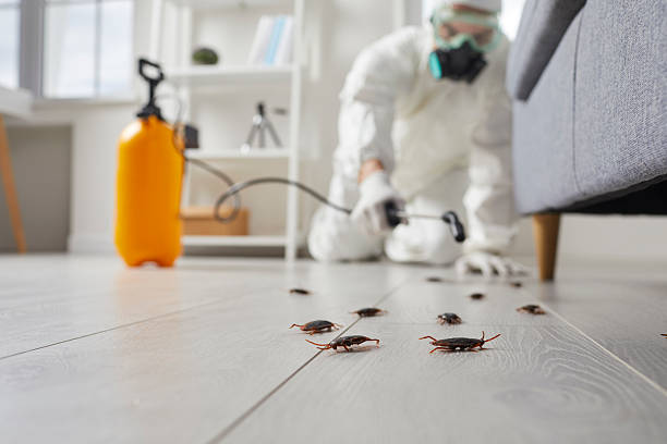 Post-Treatment Bed Bug Interceptor Monitoring in Kittanning