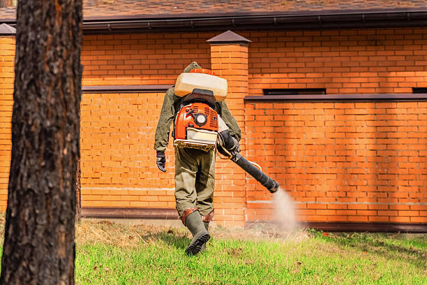 Bed Bug Clearance Verification and Documentation in Kittanning